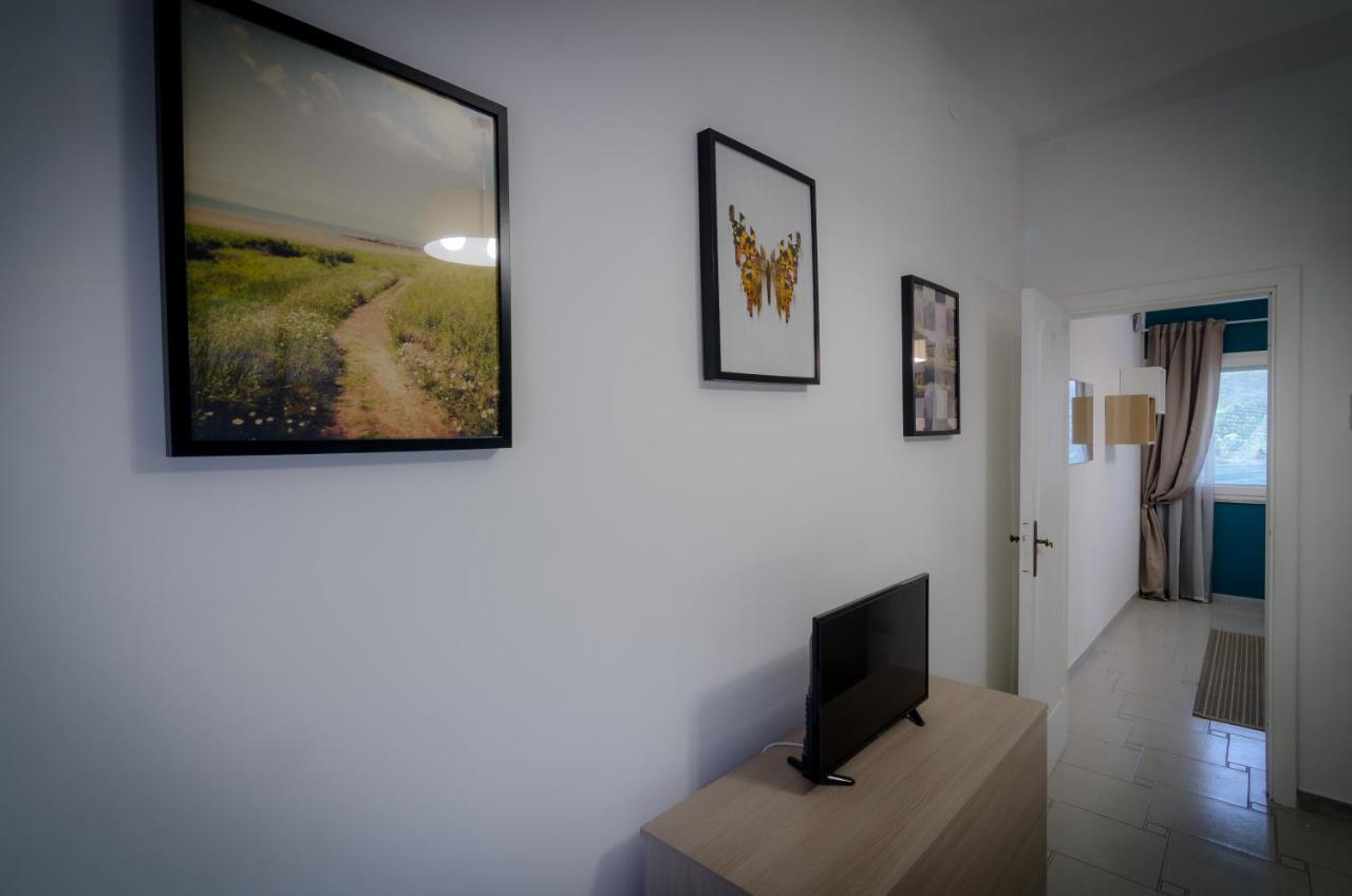 Nest * Sorrent